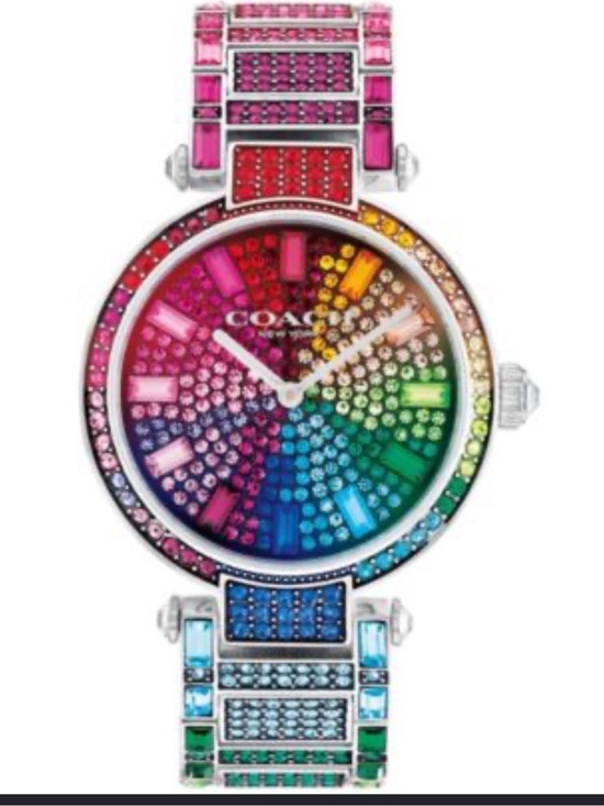 Coach Other - Cary Rainbow Coach Watch